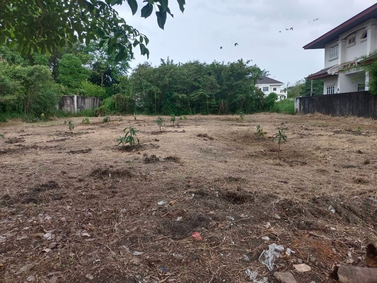 รูป ขาย ที่ดิน 195 ตร.ว. หมู่บ้านเรืองอนันต์  ซอย เพรชเกษม 64 บางเเค  - รูปที่ 3/17
