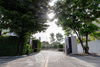 listing thumbnail image 18