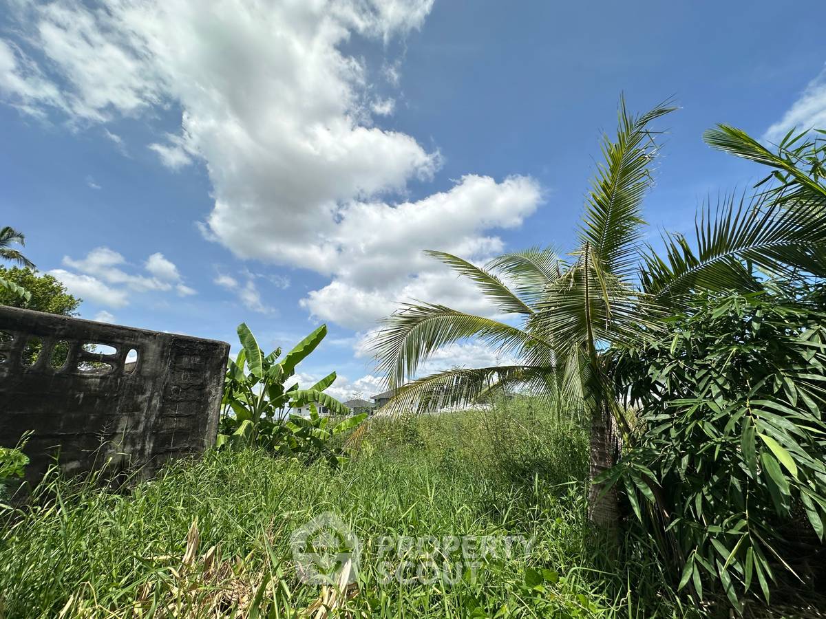 picture 23,364 m² Land for Rent in Bang Muang (ID 2206577) - 6/8