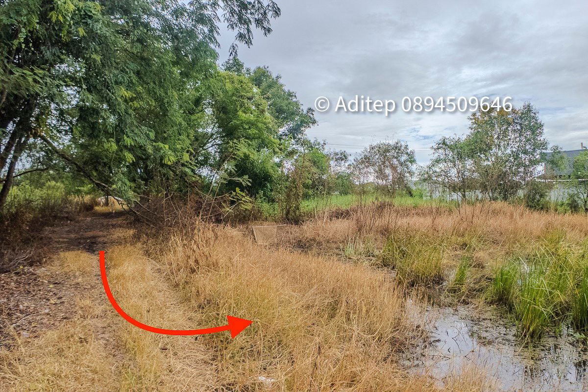 picture Urgent sale! Vacant land 317 sq.w. Khlong Yong-Phutthamonthon, good price close to appraisal price, near Mahidol, Salaya - 15/17