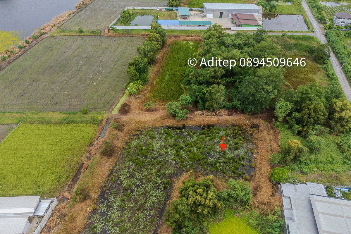 picture Urgent sale! Vacant land 317 sq.w. Khlong Yong-Phutthamonthon, good price close to appraisal price, near Mahidol, Salaya - 5/17