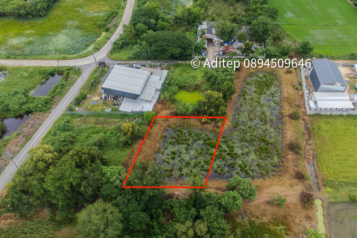 picture Urgent sale! Vacant land 317 sq.w. Khlong Yong-Phutthamonthon, good price close to appraisal price, near Mahidol, Salaya - 9/17
