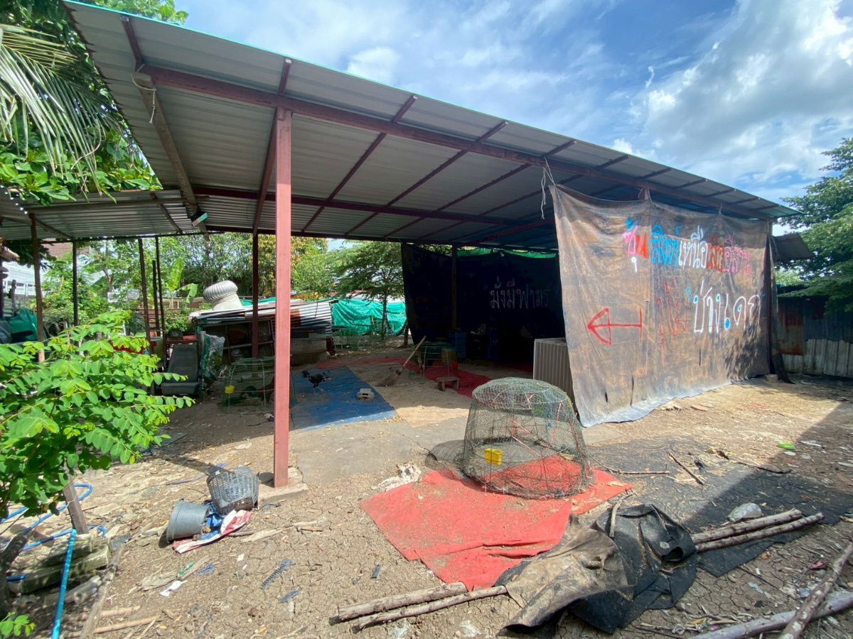 picture Urgent sale, land, Soi Thian Talay 20, land size 150 sq m, good location near community and industry, suitable for building a house. - 8/12