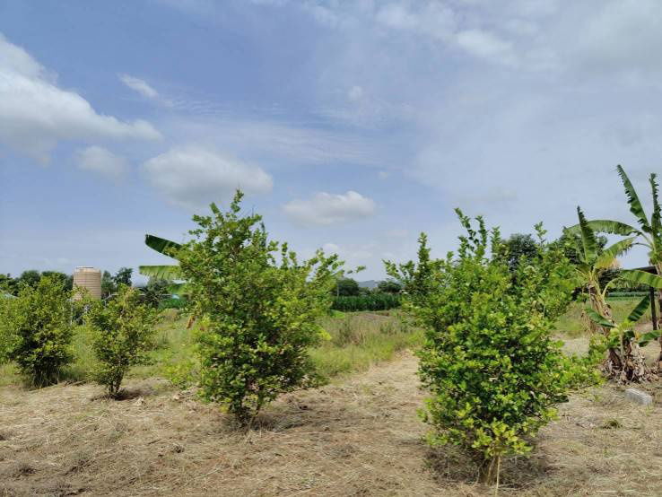 picture House for sale with land, located in a community, water and electricity ready, Lao Khwan District, Kanchanaburi Province - 3/12