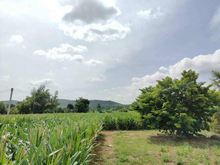picture House for sale with land, located in a community, water and electricity ready, Lao Khwan District, Kanchanaburi Province - 7/12