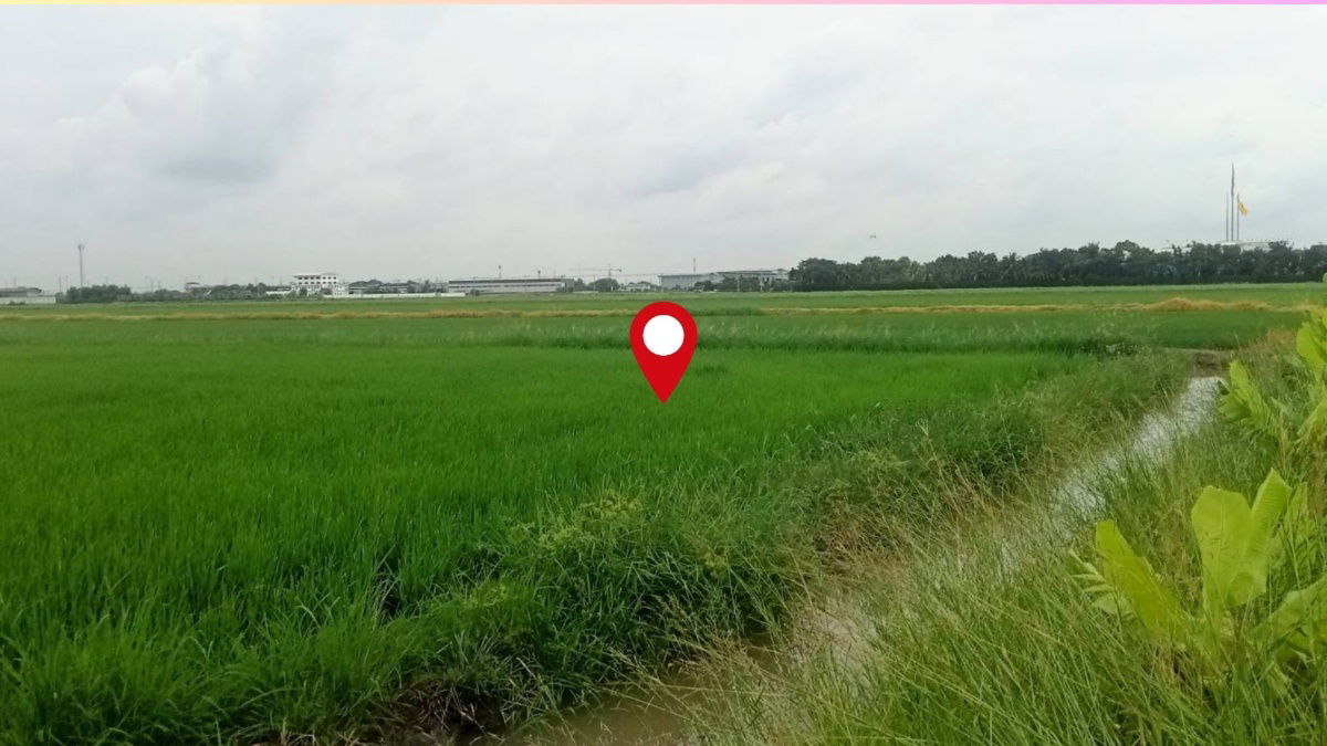 รูป หายาก! ที่ดินแปลงใหญ่ 3-3-39.4 ไร่ ลำลูกกา คลอง6 หน้ากว้างพิเศษ ใกล้ถนน4เลน ราคาน่าลงทุน! - รูปที่ 5/9