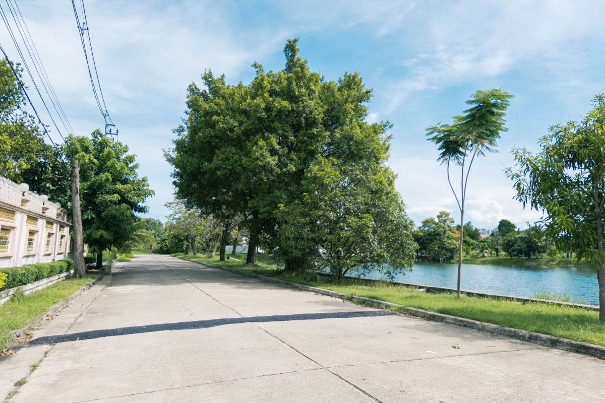 รูป ขาย ที่ดิน 195 ตร.ว. หมู่บ้านเรืองอนันต์  ซอย เพรชเกษม 64 บางเเค  - รูปที่ 13/17