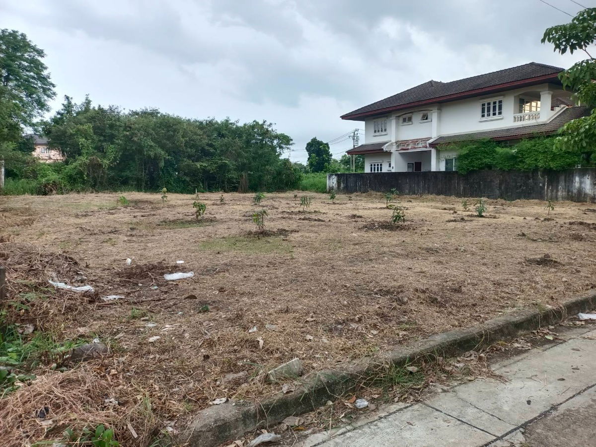 รูป ขาย ที่ดิน 195 ตร.ว. หมู่บ้านเรืองอนันต์  ซอย เพรชเกษม 64 บางเเค  - รูปที่ 4/17