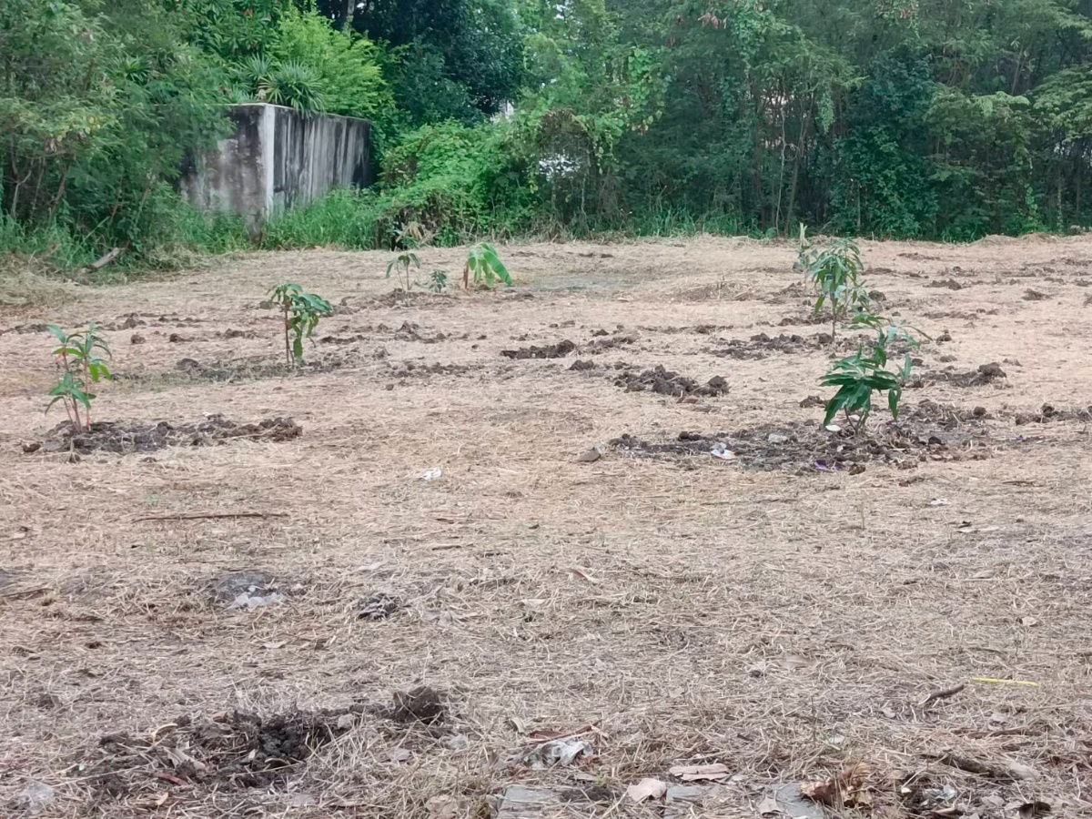 รูป ขาย ที่ดิน 195 ตร.ว. หมู่บ้านเรืองอนันต์  ซอย เพรชเกษม 64 บางเเค  - รูปที่ 7/17