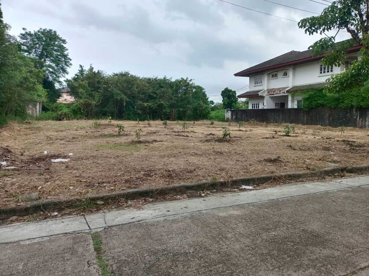 รูป ขาย ที่ดิน 195 ตร.ว. หมู่บ้านเรืองอนันต์  ซอย เพรชเกษม 64 บางเเค  - รูปที่ 5/17
