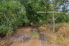 listing thumbnail image 13