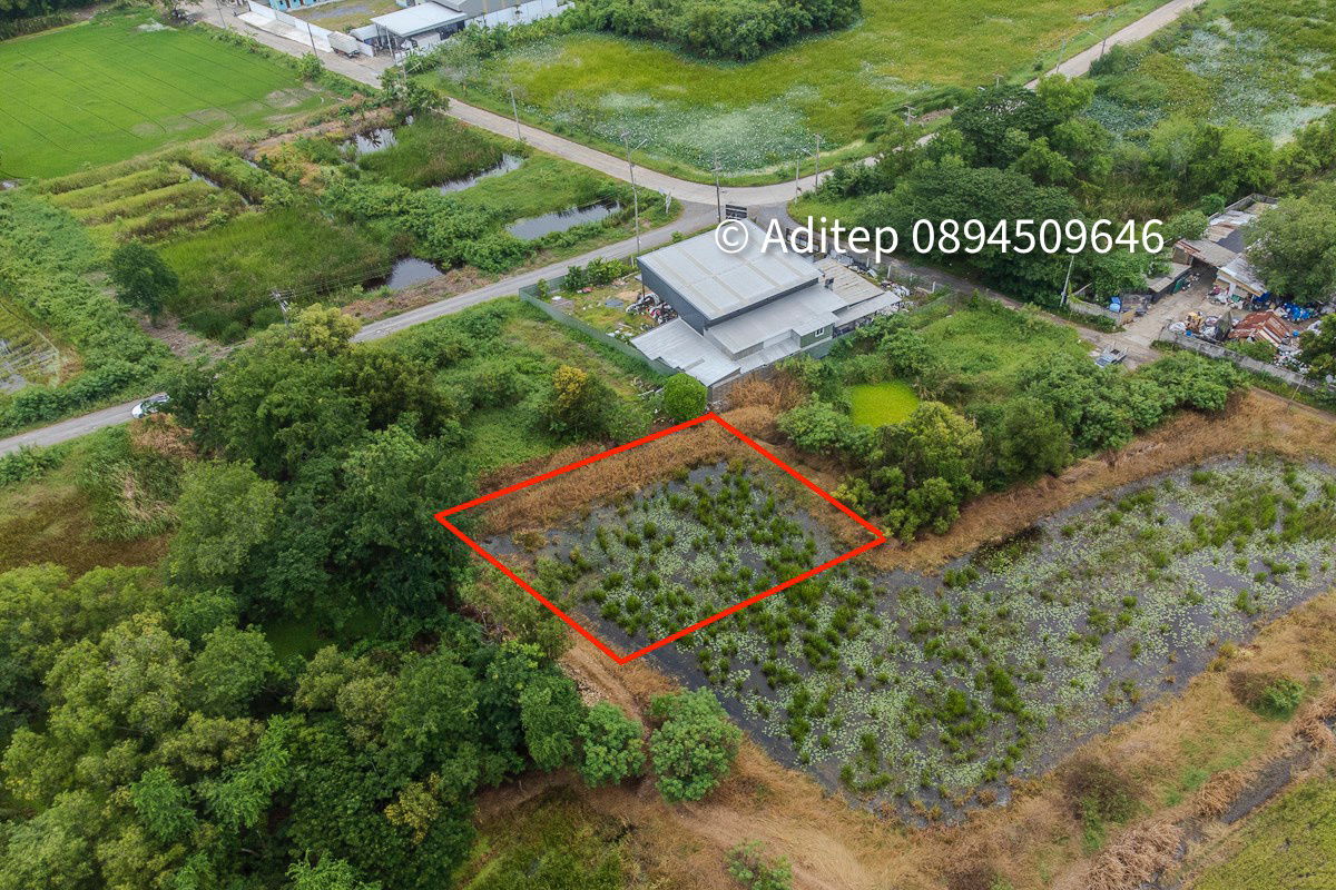 picture Urgent sale! Vacant land 317 sq.w. Khlong Yong-Phutthamonthon, good price close to appraisal price, near Mahidol, Salaya - 3/17
