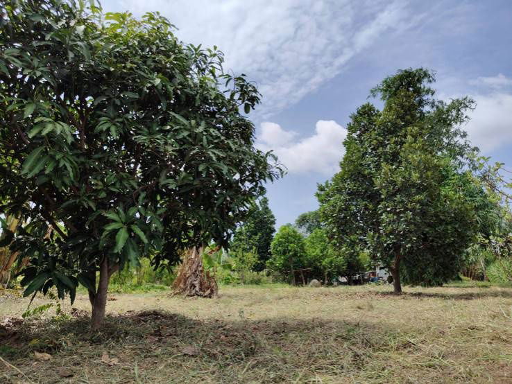 picture House for sale with land, located in a community, water and electricity ready, Lao Khwan District, Kanchanaburi Province - 4/12