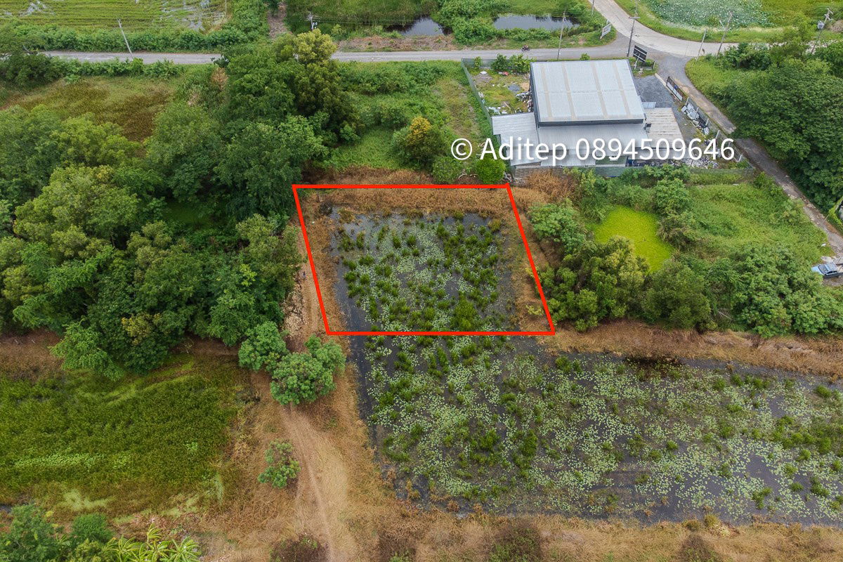 picture Urgent sale! Vacant land 317 sq.w. Khlong Yong-Phutthamonthon, good price close to appraisal price, near Mahidol, Salaya - 4/17