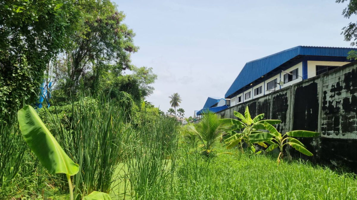 picture Land for Sale in Thakham, Soi Rang Pho Lang, 378 sq.w. - Excellent Location Near Suankularb Thonburi School - 3/4