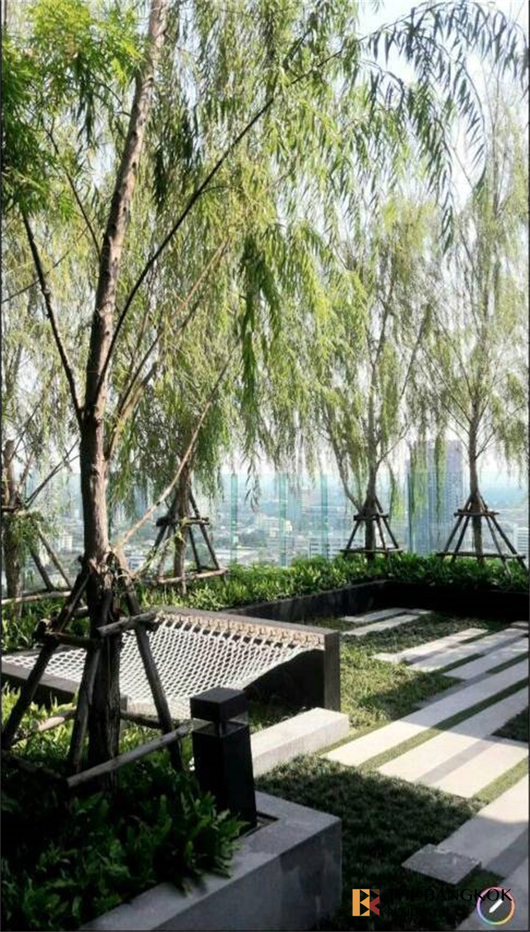 picture RHYTHM Sukhumvit 36-38 near BTS Thong Lo Condo in Central City at an Affordable Price - 7/10