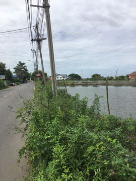Land for Sale: 5 Rai on Main Road, Bang Bo, Samut Prakan 