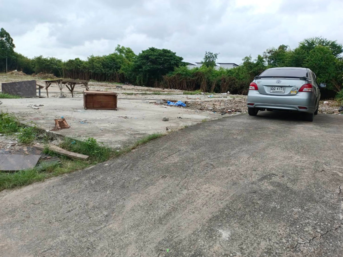 picture fitted land for any projects mainroad 18 meters on taparak road bangpra 65 - 1/7