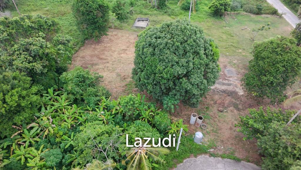 รูป 1 Rai Flat Land for Sale in Laem Sor - 300m to the beach! - รูปที่ 6/9