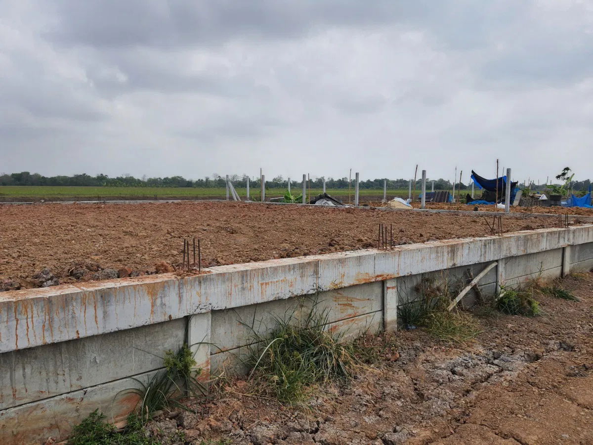 รูป ขายที่ดินถมแล้ว 100 ตร.ว. พร้อมกำแพงล้อมรอบ คลอง 4 คลองหลวง ปทุมธานี ที่ดินสวย ขนาดกำลังดี พร้อมพัฒนา - รูปที่ 1/7