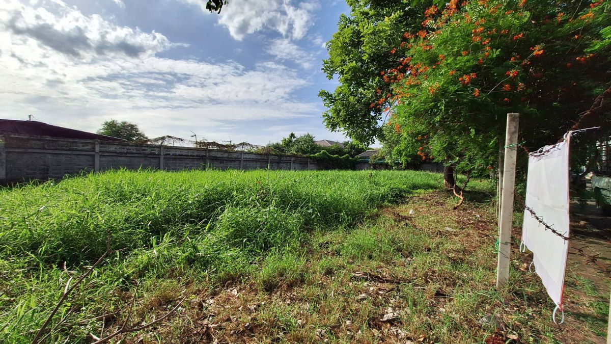 รูป ขายที่ดินในหมู่บ้านกฤษดานคร 21 บางนาตราด กม. 7 - รูปที่ 29/29