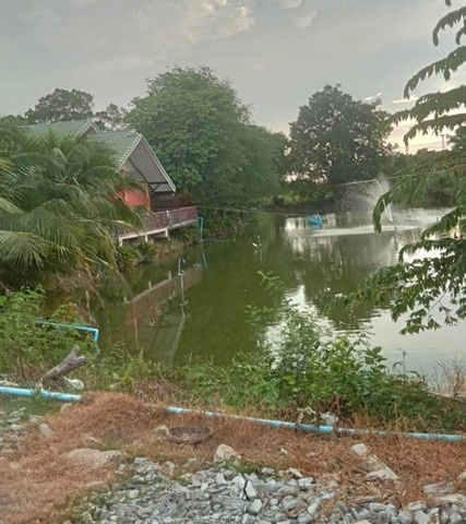 picture FOR RENT  HOUSE PROPERTY  10000 BAHT per MONTH - 1/8