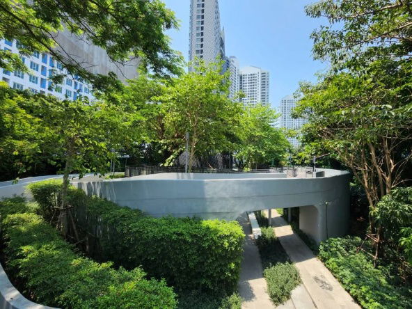 รูป 🏢 ให้เช่าคอนโด : IDEO O2 (ไอดีโอ โอทู)   รหัสทรัพย์ | 📌LNP-C8406  - รูปที่ 12/19