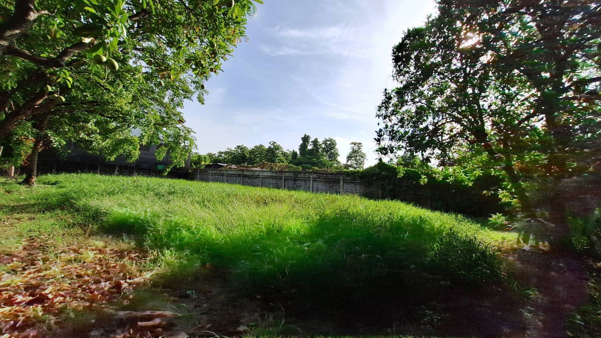 รูป ขายที่ดินในหมู่บ้านกฤษดานคร 21 บางนาตราด กม. 7 - รูปที่ 24/29