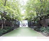 listing thumbnail image 13
