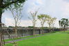 listing thumbnail image 14
