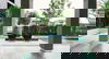 listing thumbnail image 6