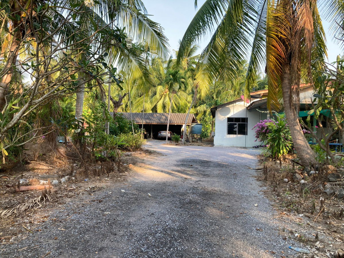 picture Land for Sale Near the Beach with Coconut Plantation – Prachuap Khiri Khan Thap Sakae - 3/3