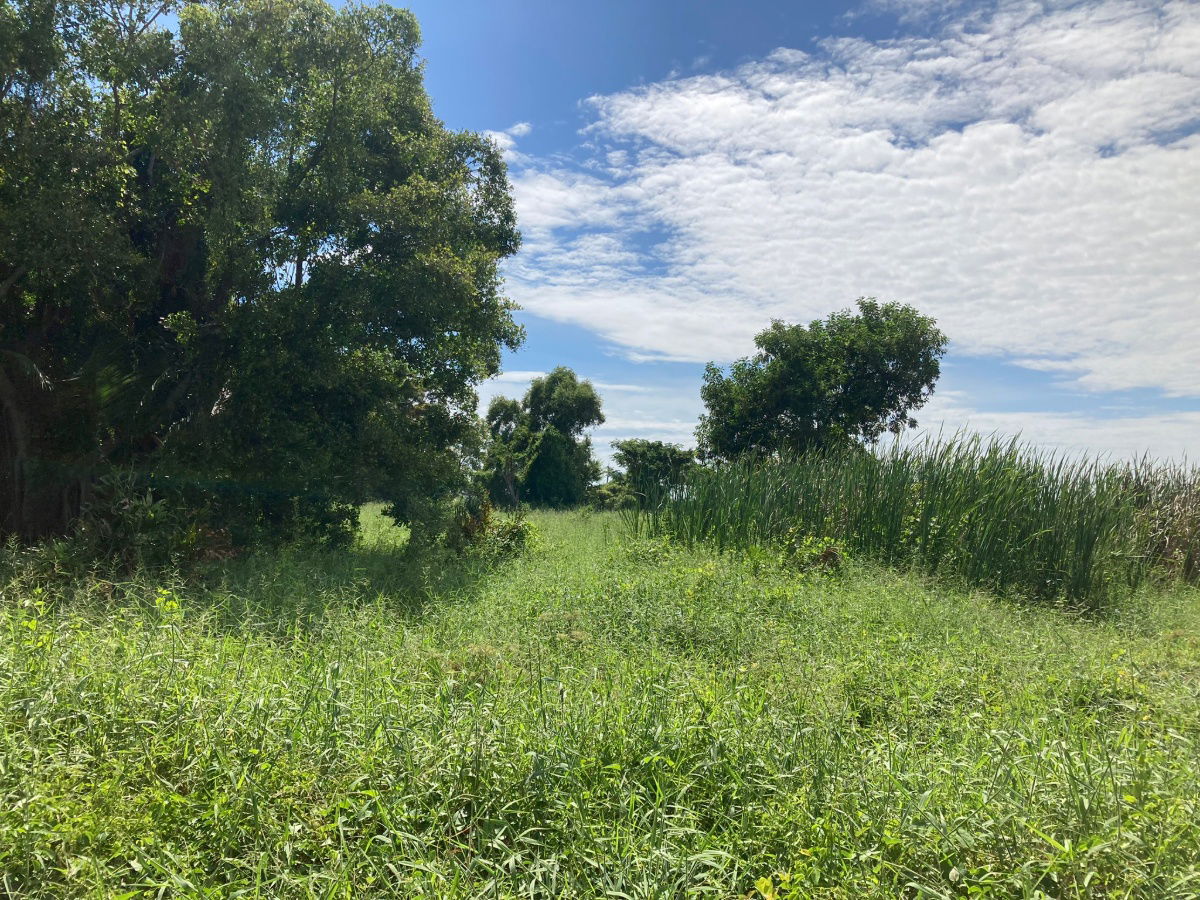 picture Land for Long-Term Lease near ABAC Bangna. Preng Subdistrict, Bang Bo District, Samut Prakan 20 rai - 11/14