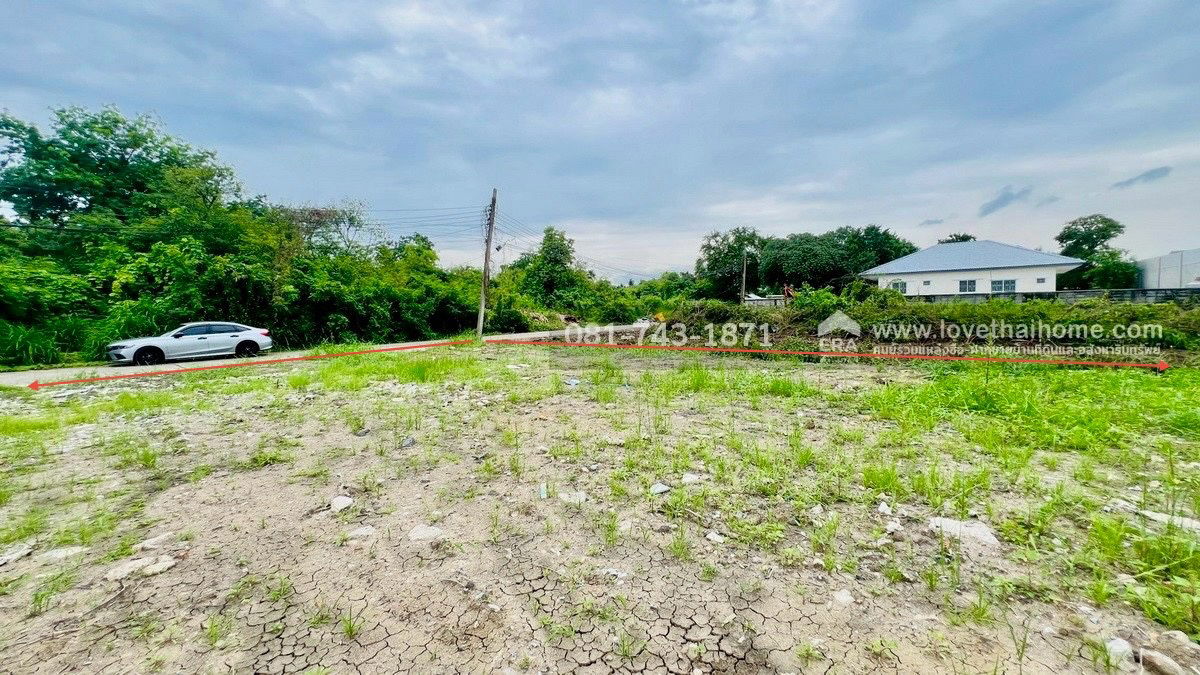 รูป ขายที่ดินถมแล้ว พุทธมณฑลสาย2 ซอย21 หลังแปลงติดหมู่บ้านลัดดารมย์ พุทธมณฑลสาย2 ขนาด 226 ตรว. แปลงสวย วาละ 27,000 บาท ราคานี้ไม่แพงแล้วนะ แบ่งขายได้ - รูปที่ 5/7