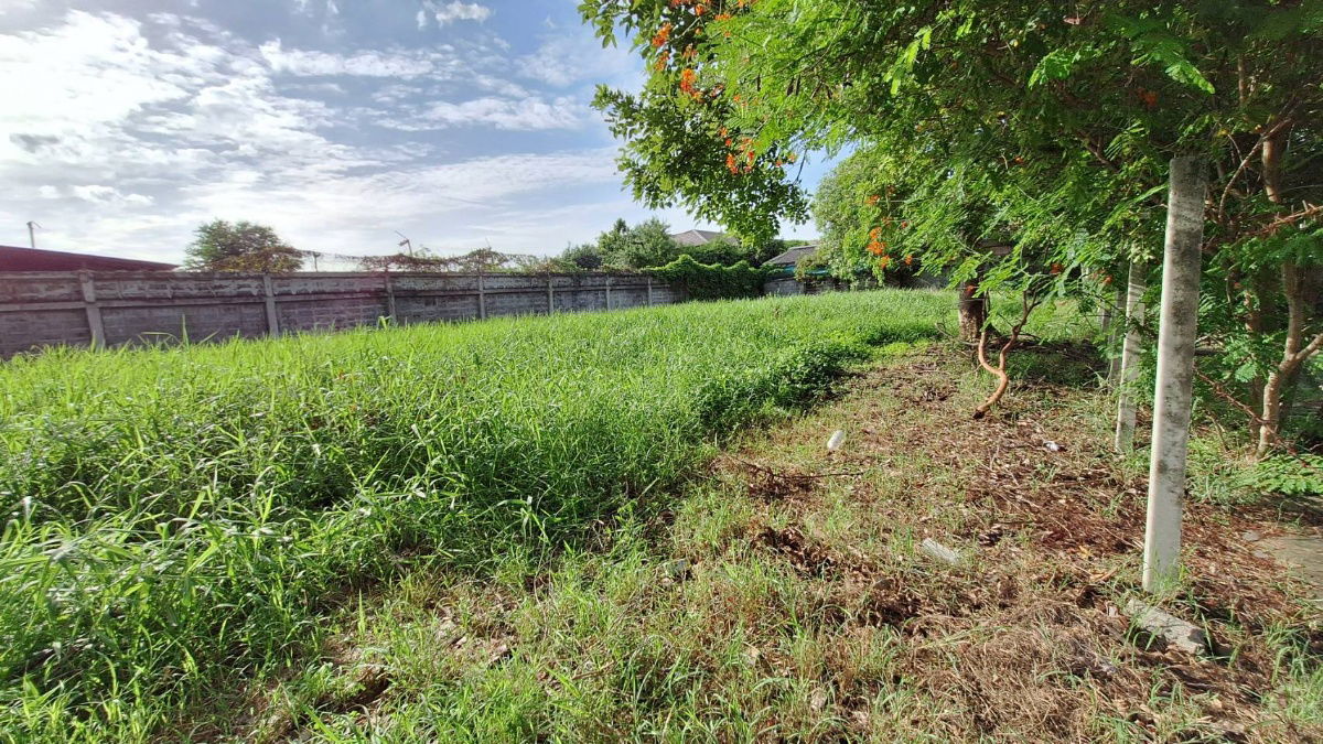 รูป ขายที่ดินในหมู่บ้านกฤษดานคร 21 บางนาตราด กม. 7 - รูปที่ 12/29
