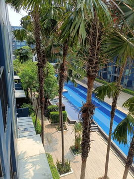 🌿 WS1391 [For rent] Happy Condo Don Mueang 💸 Rent only 8,500 baht/month
