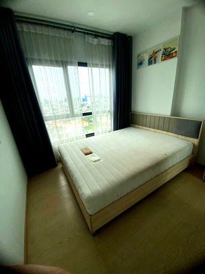 Condos for rent : The Tree Sukhumvit 71 - Ekamai (Ramkhamhaeng Airport Rail Link Station)