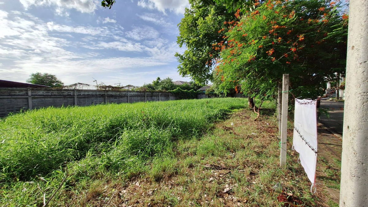 รูป ขายที่ดินในหมู่บ้านกฤษดานคร 21 บางนาตราด กม. 7 - รูปที่ 14/29