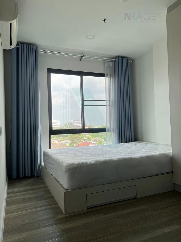 picture 🚩 For Rent Condo KENSINGTON KASET CAMPUS Building B, Floor 7,1 bed room, Room size 31 sqm - 4/8