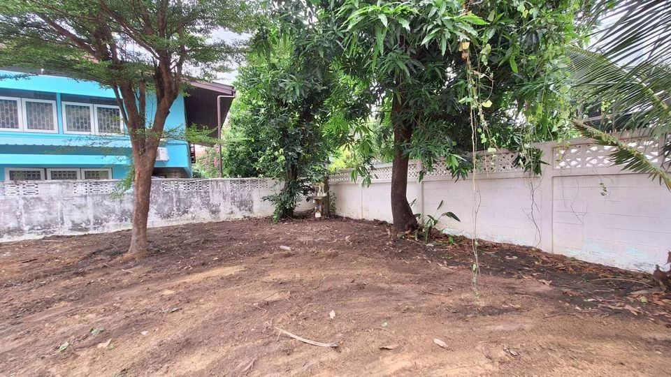 รูป ขายที่ดินเอกมัย สุขุมวิท 65 115 ตรว. - รูปที่ 5/8