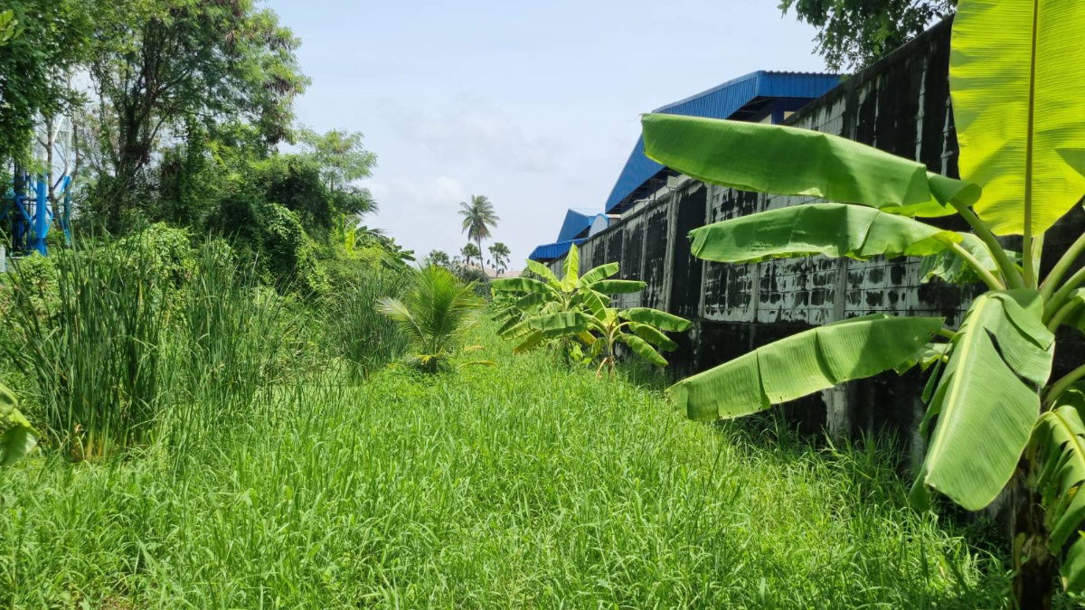 picture Land for Sale in Thakham, Soi Rang Pho Lang, 378 sq.w. - Excellent Location Near Suankularb Thonburi School - 2/4