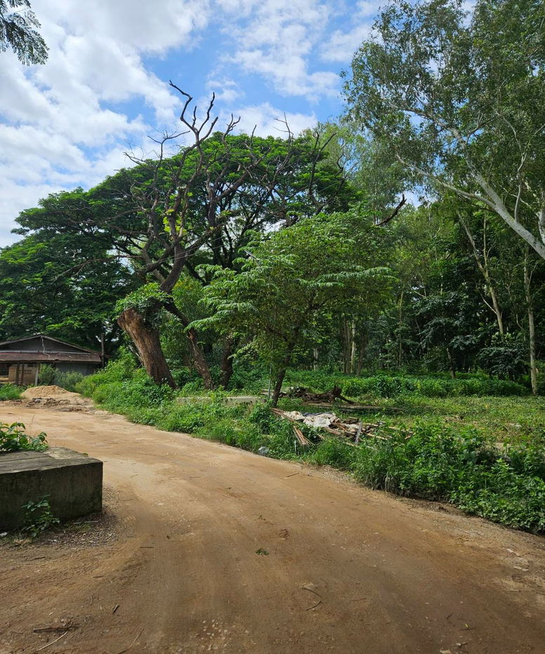 picture  Land for Sale in Mae Sot, Tak – Facing Myawaddy - 4/8