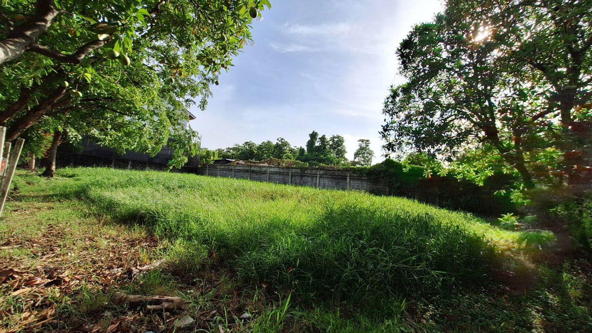 รูป ขายที่ดินในหมู่บ้านกฤษดานคร 21 บางนาตราด กม. 7 - รูปที่ 25/29