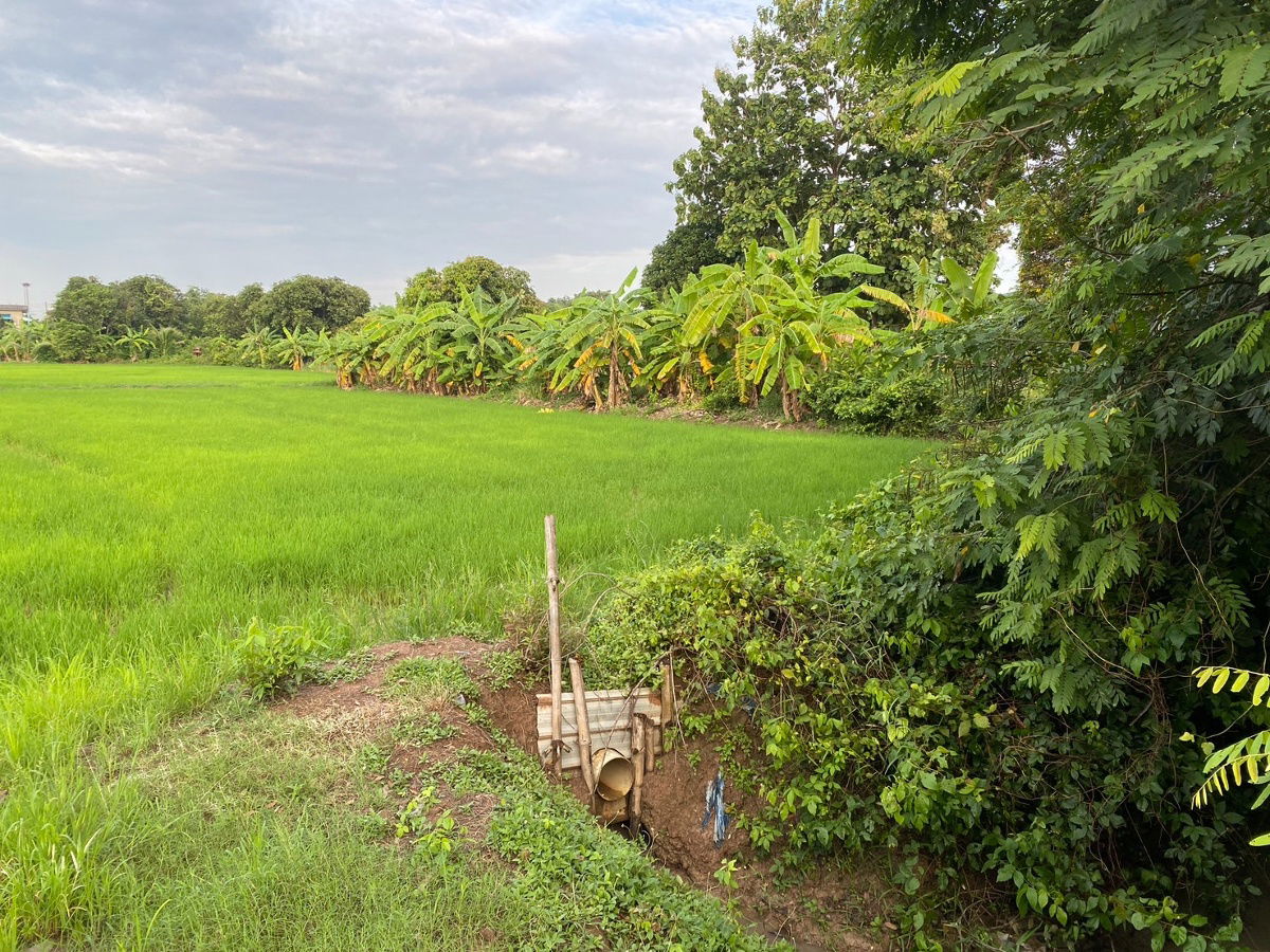 picture Land for Sale: 1 Rai 3 Ngan (2,800 sq.m.) Located in Mueang Kao Subdistrict, Phanom Sarakham, Chachoengsao.  Only 1.7 km from Highway 304  - 4/7