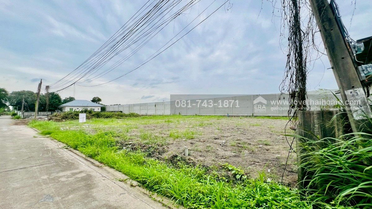 รูป ขายที่ดินถมแล้ว พุทธมณฑลสาย2 ซอย21 หลังแปลงติดหมู่บ้านลัดดารมย์ พุทธมณฑลสาย2 ขนาด 226 ตรว. แปลงสวย วาละ 27,000 บาท ราคานี้ไม่แพงแล้วนะ แบ่งขายได้ - รูปที่ 3/7