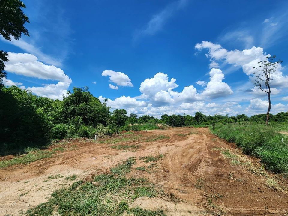 รูป ขายที่ดินเปล่า ราคาพิเศษ 600,000 บาท - รูปที่ 1/1