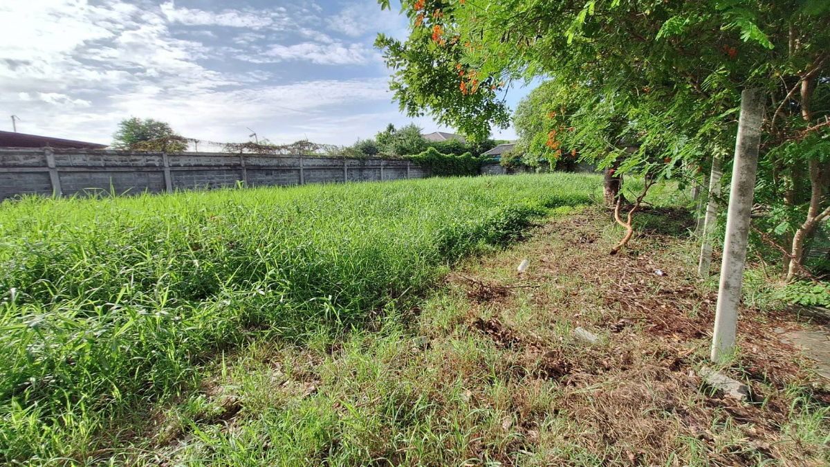 รูป ขายที่ดินในหมู่บ้านกฤษดานคร 21 บางนาตราด กม. 7 - รูปที่ 7/29