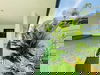 listing thumbnail image 18