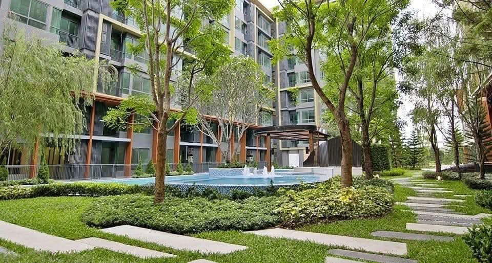 รูป 🍃OwNi160725🍃 ขายพร้อมผู้เช่า คอนโด Metroluxe Rosegold   - รูปที่ 14/14