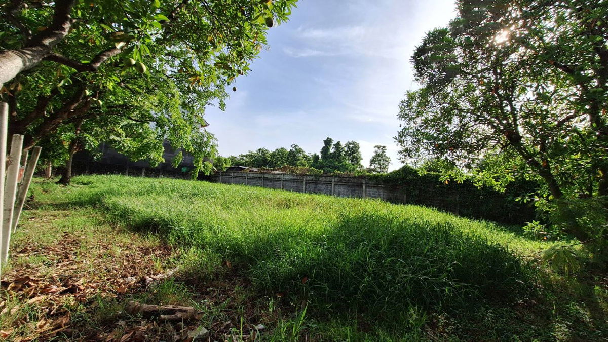 รูป ขายที่ดินในหมู่บ้านกฤษดานคร 21 บางนาตราด กม. 7 - รูปที่ 27/29